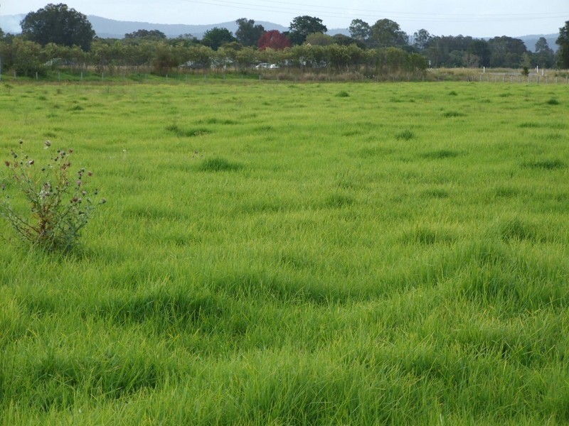 Jones Island NSW 2430