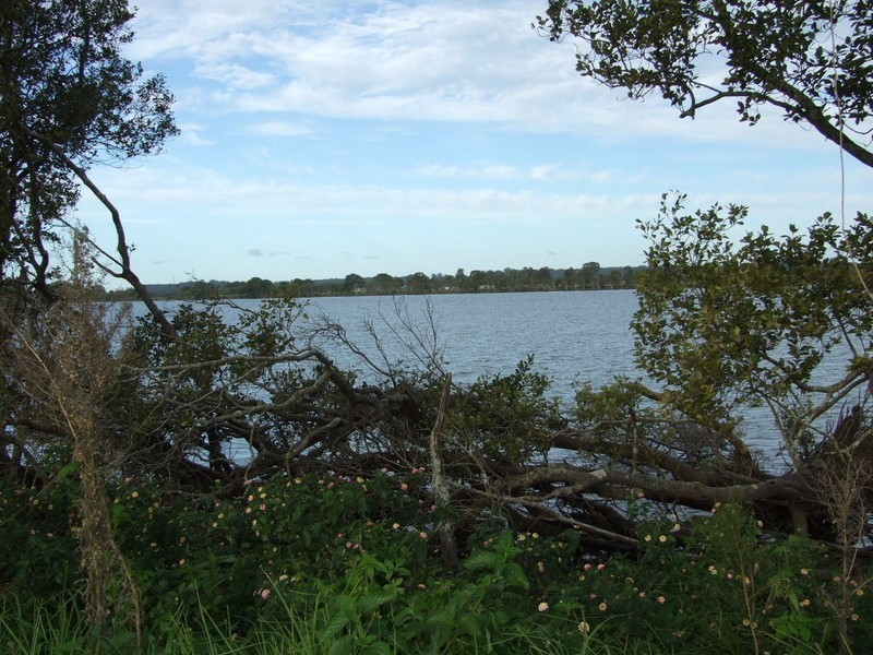 Jones Island NSW 2430