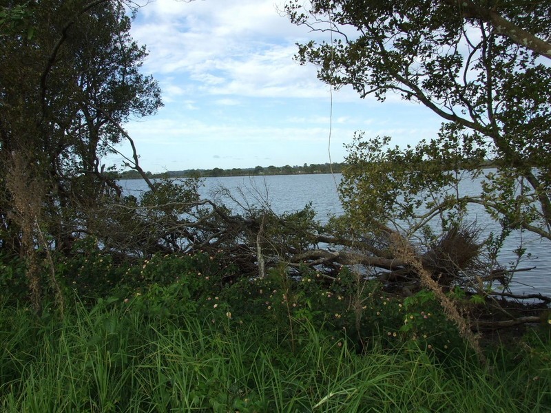 Jones Island NSW 2430