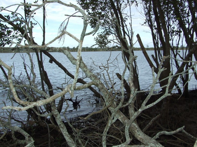 Jones Island NSW 2430