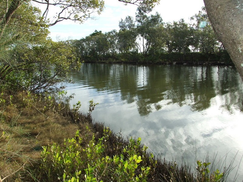 Jones Island NSW 2430