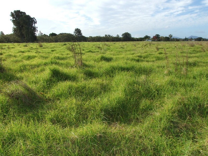 Jones Island NSW 2430