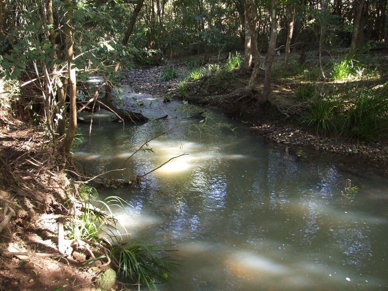 Kundibakh NSW 2429