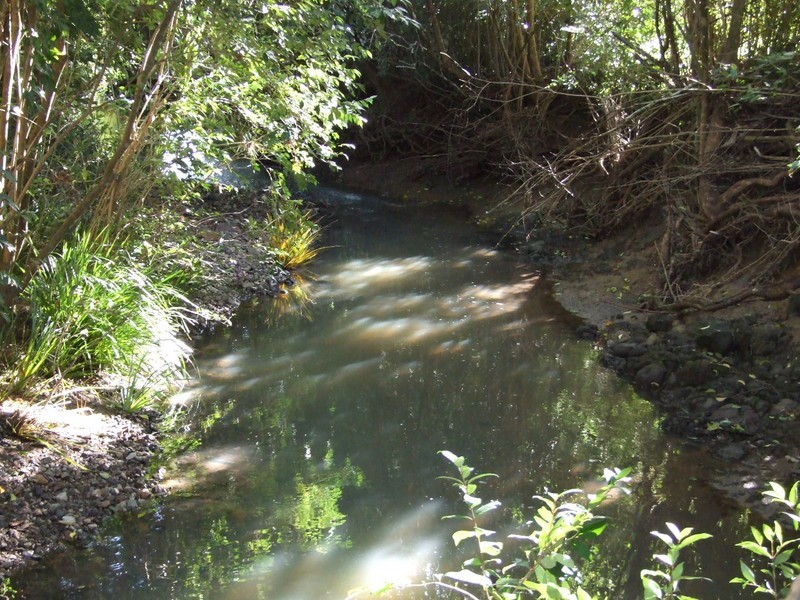 Kundibakh NSW 2429