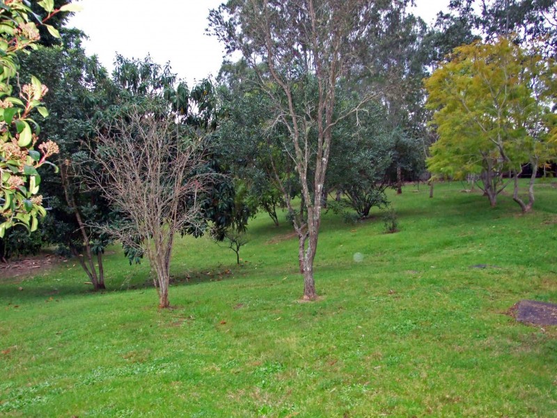 31 Winter Street, Tinonee NSW 2430