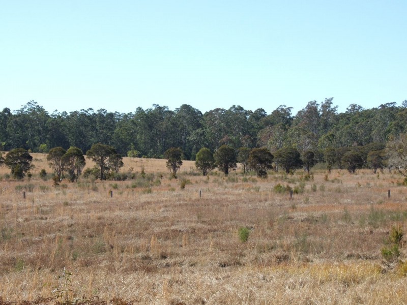 1150 Cedar Party Road, Cedar Party NSW 2429