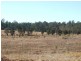 1150 Cedar Party Road, Cedar Party NSW 2429