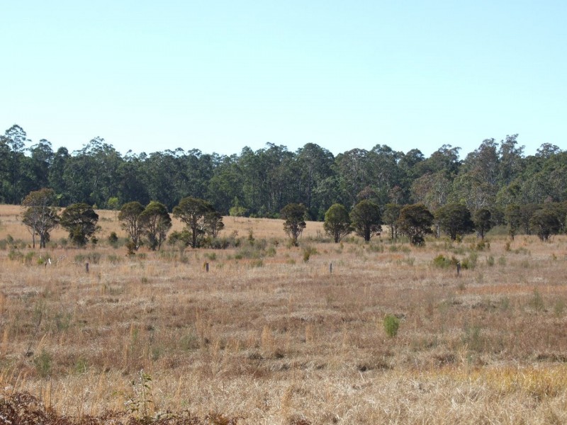 1150 Cedar Party Road, Cedar Party NSW 2429
