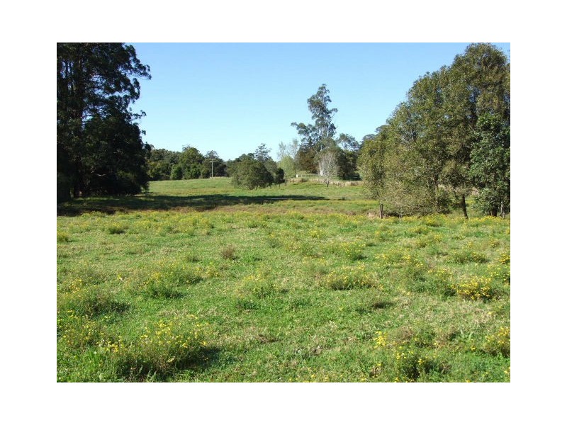 Strathcedar NSW 2429