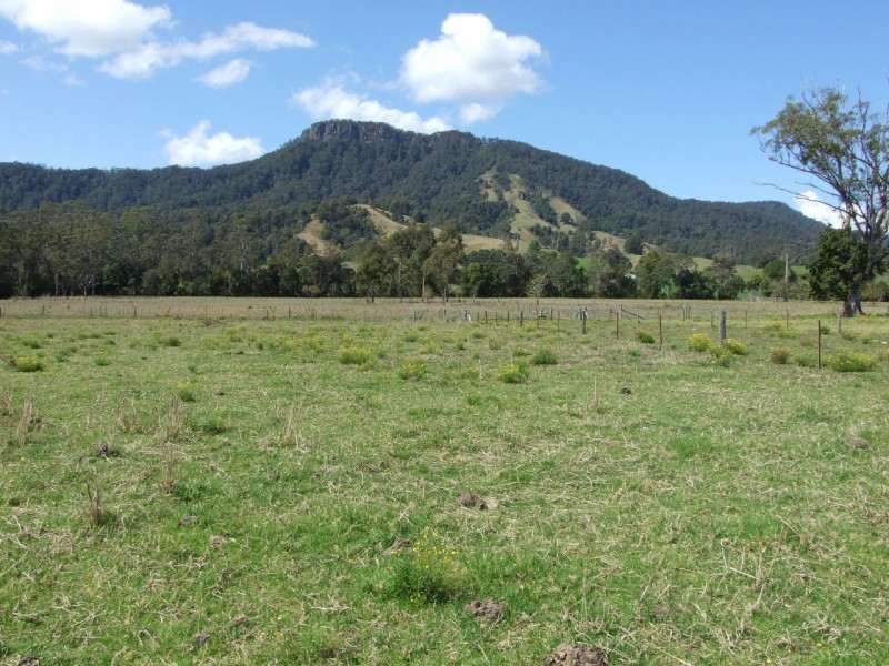 417 Hogans Road, Upper Lansdowne NSW 2430