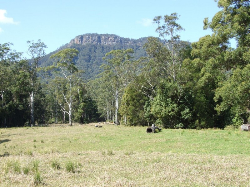 417 Hogans Road, Upper Lansdowne NSW 2430