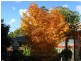 Taree West NSW 2430