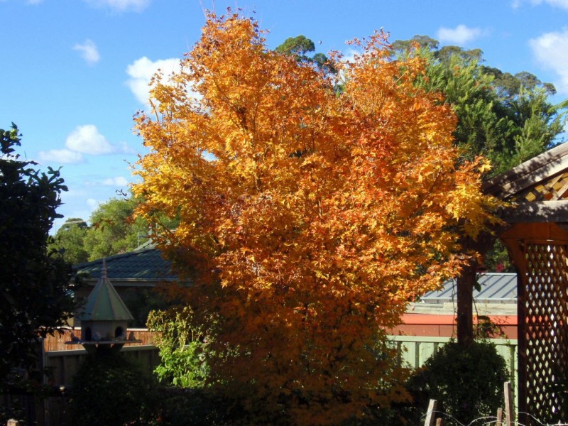 Taree West NSW 2430
