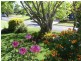 Taree West NSW 2430