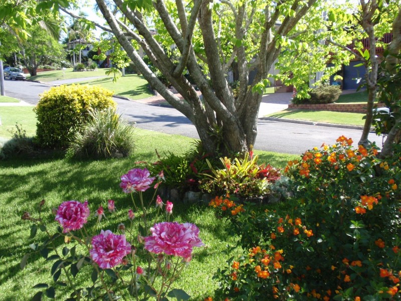 Taree West NSW 2430