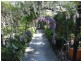 Taree NSW 2430