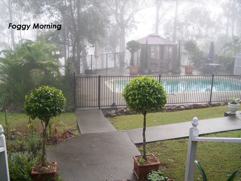 Taree NSW 2430