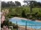 Wingham NSW 2429