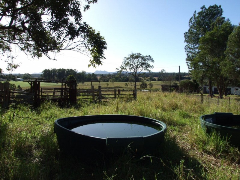 1208 Comboyne Road, Killabakh NSW 2429