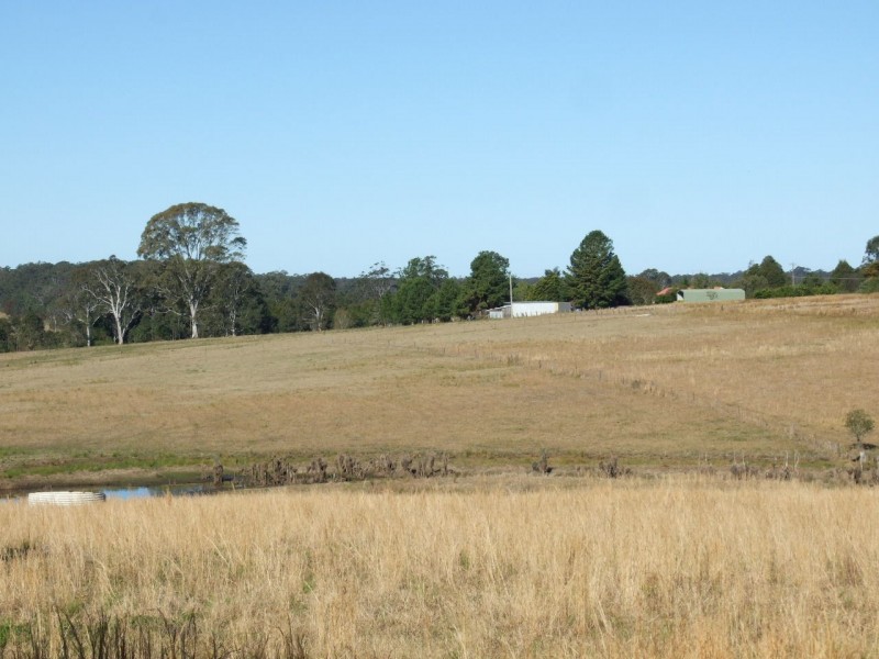 1208 Comboyne Road, Killabakh NSW 2429