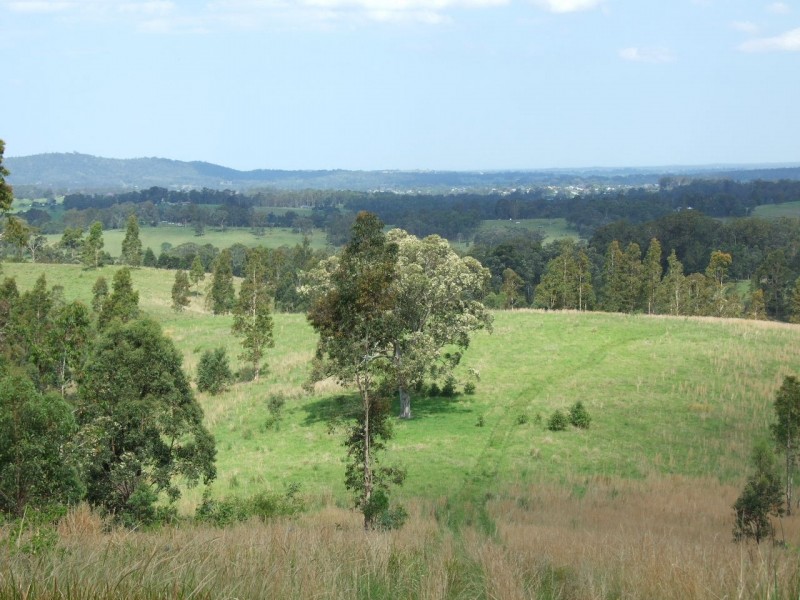 Wingham NSW 2429