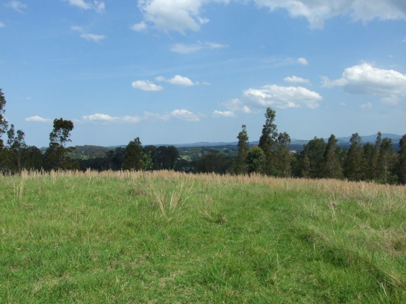 Wingham NSW 2429