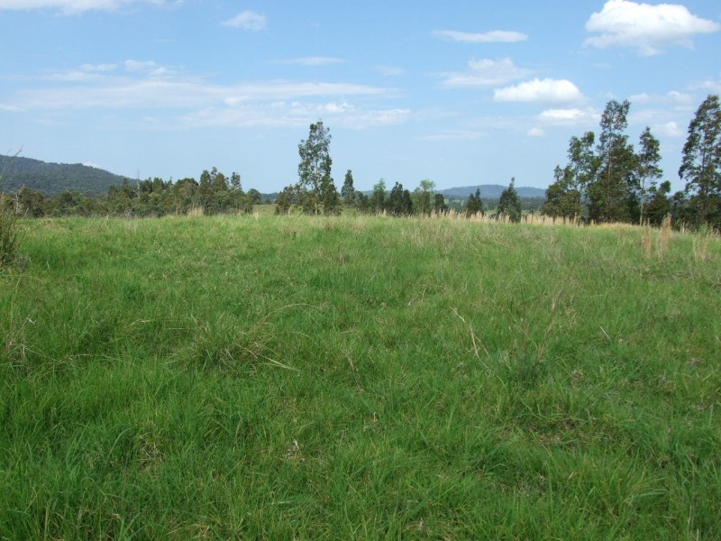 Wingham NSW 2429