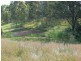 Wingham NSW 2429