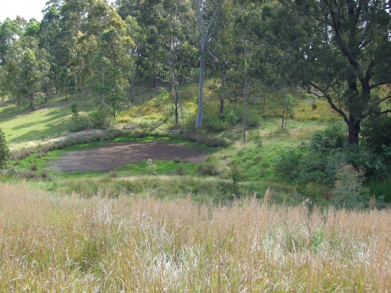Wingham NSW 2429