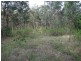 Wingham NSW 2429
