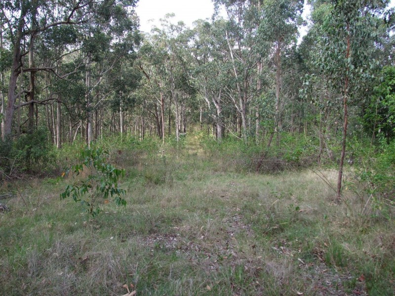 Wingham NSW 2429