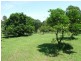 Wingham NSW 2429