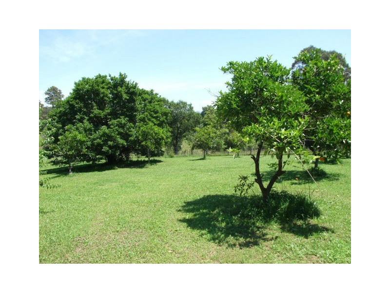 Wingham NSW 2429