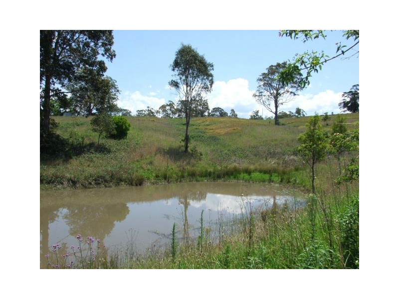 Wingham NSW 2429