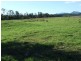 90 Harrington Road, Coopernook NSW 2426