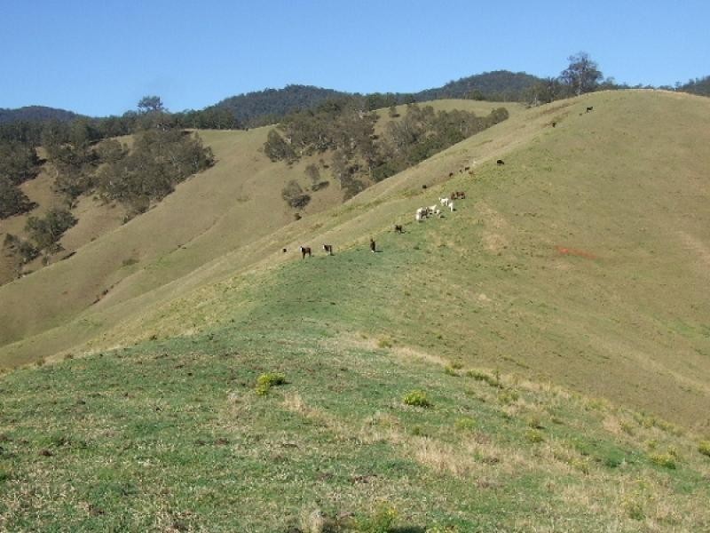 0 Cells Road, Cooplacurripa NSW 2424