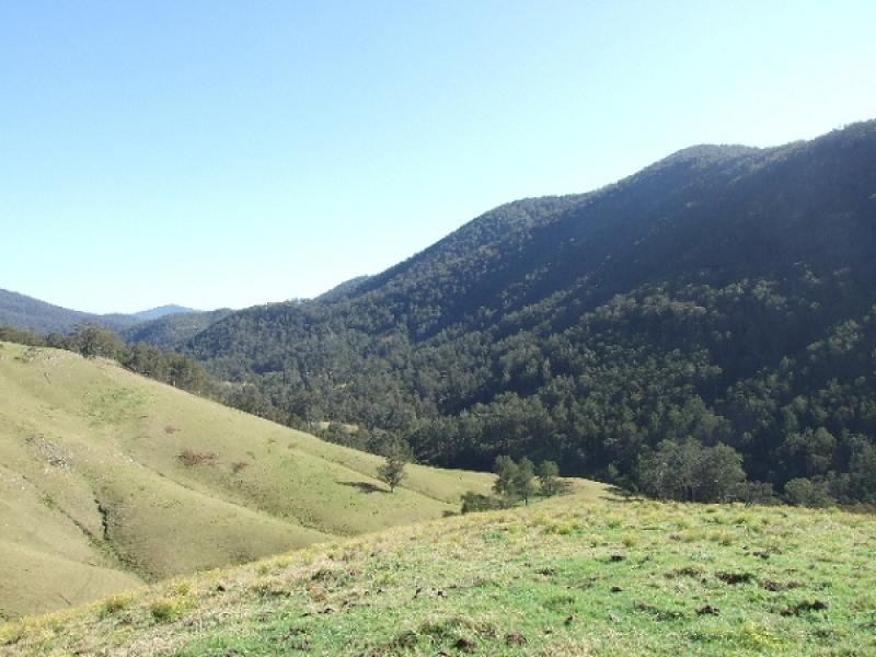 0 Cells Road, Cooplacurripa NSW 2424