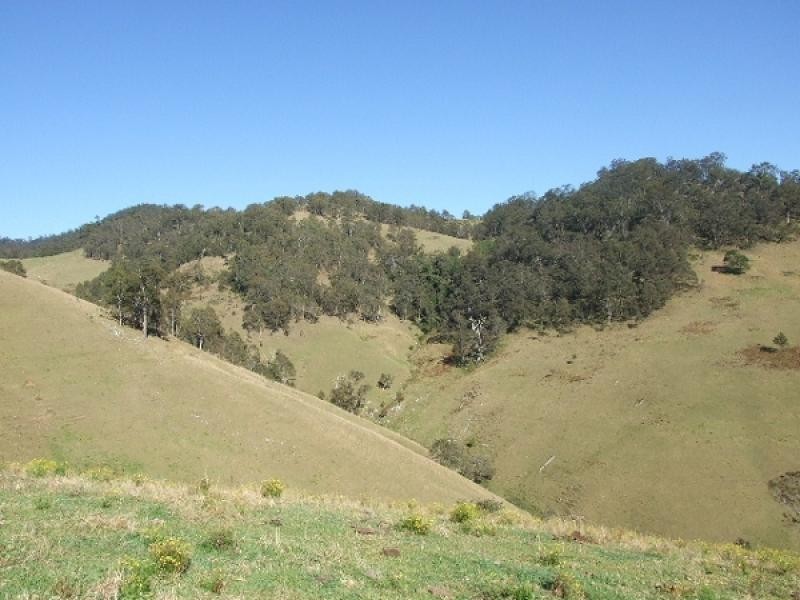 0 Cells Road, Cooplacurripa NSW 2424