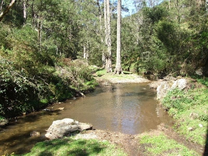 0 Cells Road, Cooplacurripa NSW 2424