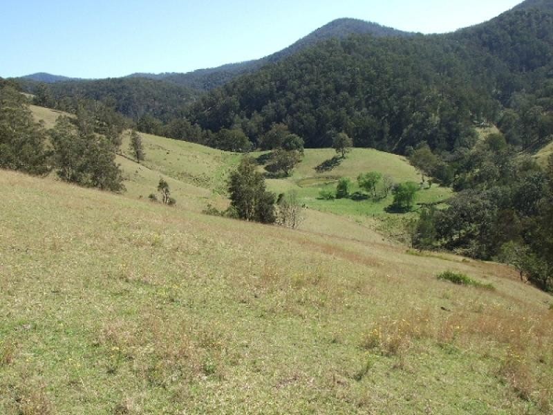 0 Cells Road, Cooplacurripa NSW 2424