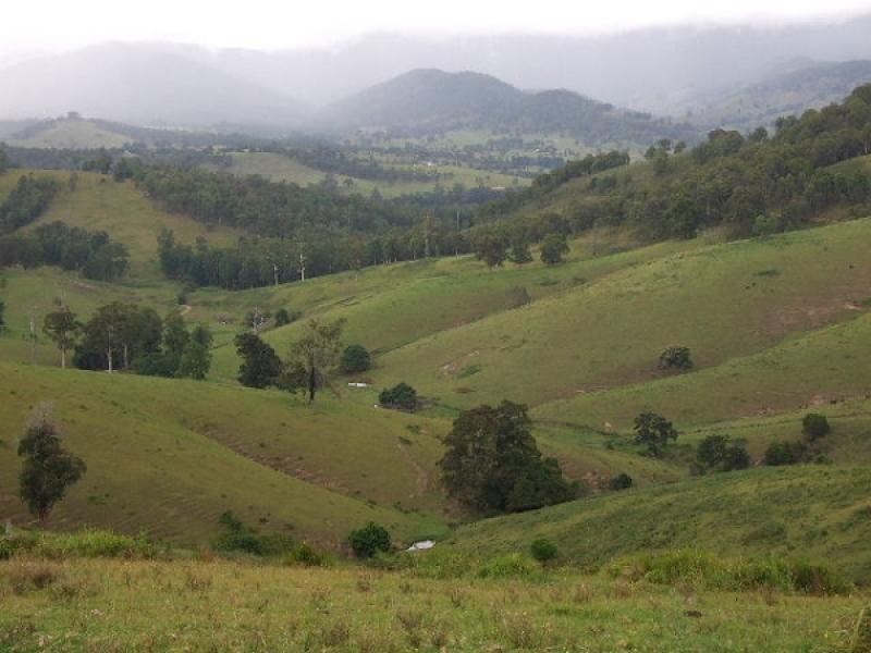 Wherrol Flat NSW 2429