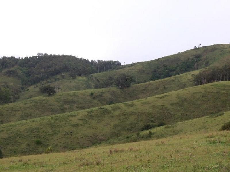 Wherrol Flat NSW 2429