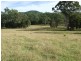 Wingham NSW 2429