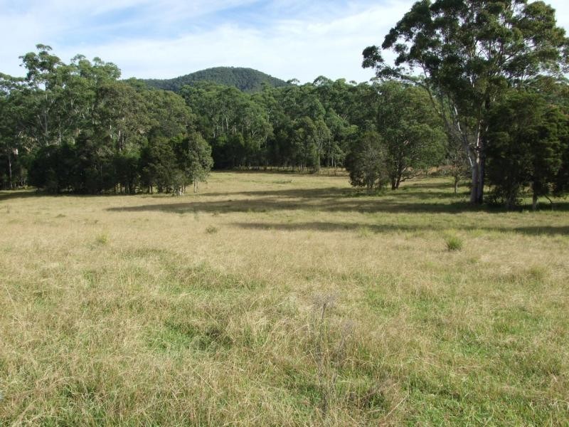 Wingham NSW 2429
