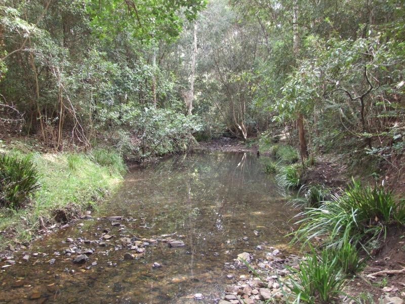 Wingham NSW 2429