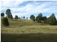 Wingham NSW 2429