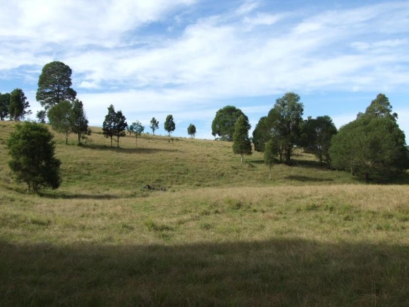Wingham NSW 2429
