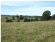 Wingham NSW 2429