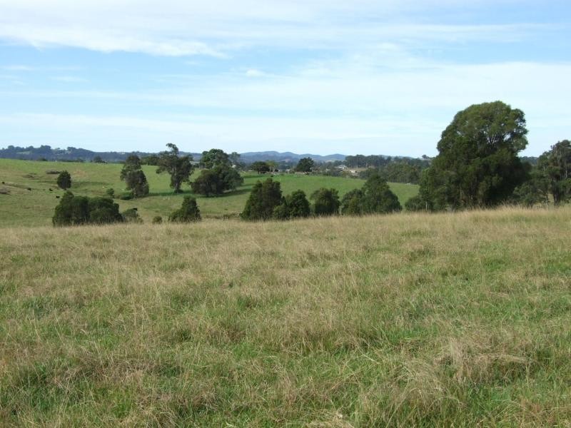 Wingham NSW 2429