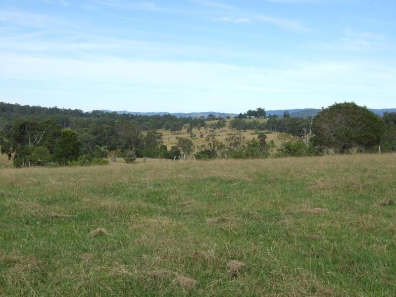 Wingham NSW 2429